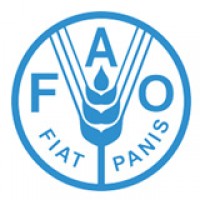 FAO 