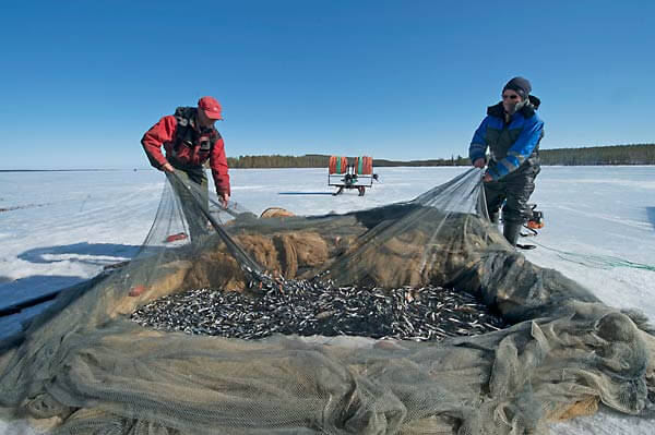 Finland: Seine fishing in winter – Life Platform