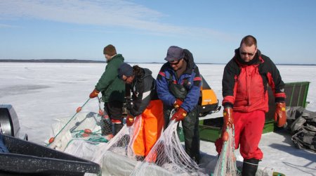 Three fishermen in icy waters