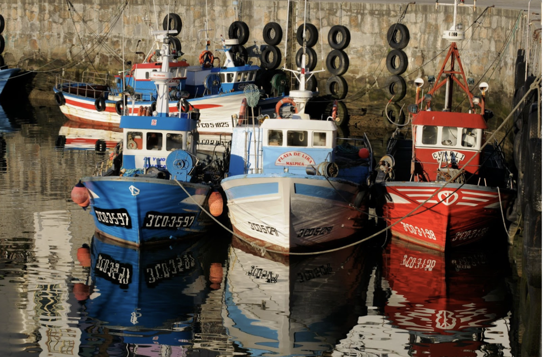 Clima Pesca – Iniciativa de la Organización del Sector Pesquero y