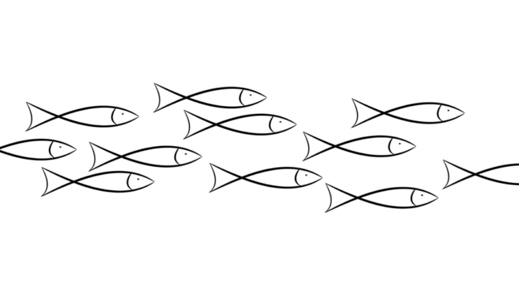 school-of-fish-7286345_1280