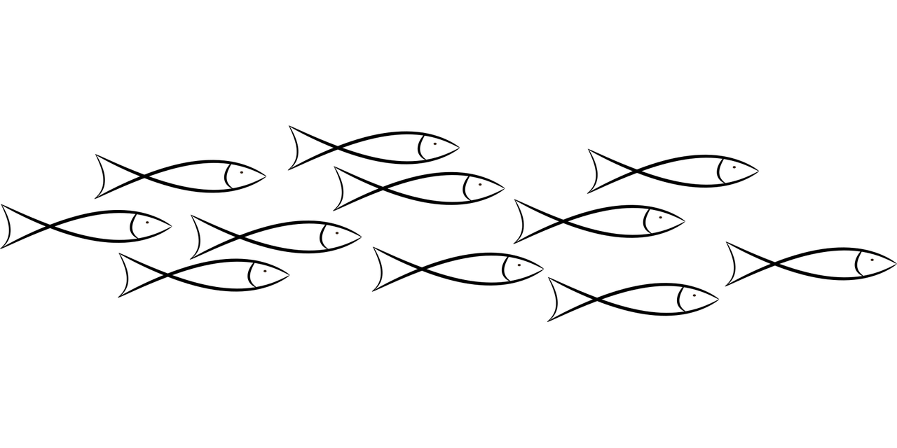 school-of-fish-7286345_1280