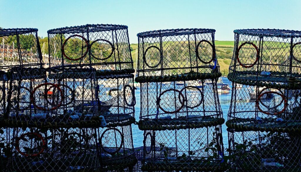 aitoff-lobster-pot-6737839