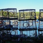 aitoff-lobster-pot-6737839