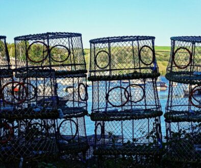 aitoff-lobster-pot-6737839