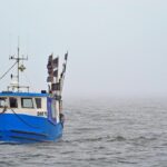 americanet-fishing-boat-2214270_1920