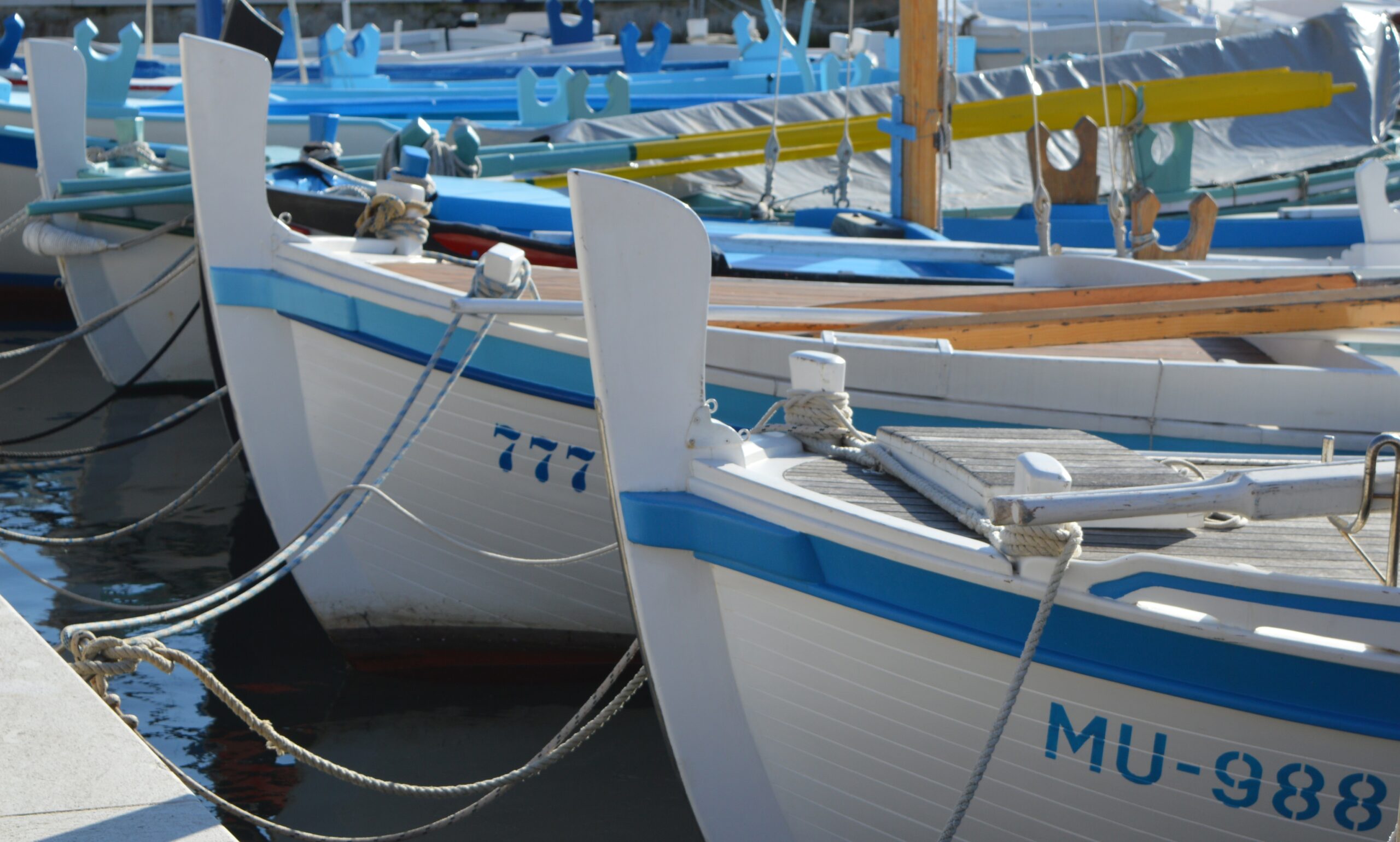 jimmorgan-sea-4666946