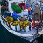 dimitrisvetsikas1969-fishing-boat-2114938