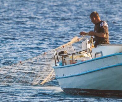 dimitrisvetsikas1969-fisherman-6003451