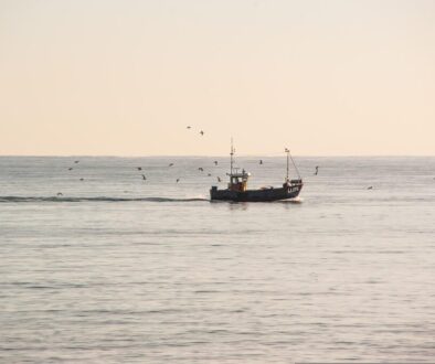 apassingstranger-boat-6231917