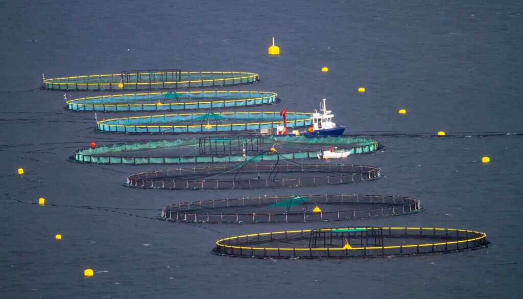 ltapsah-fish-farming-7557623