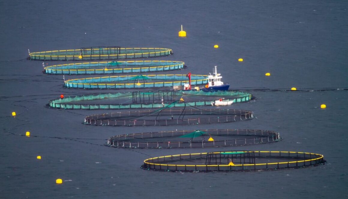 ltapsah-fish-farming-7557623