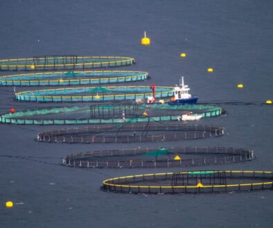 ltapsah-fish-farming-7557623