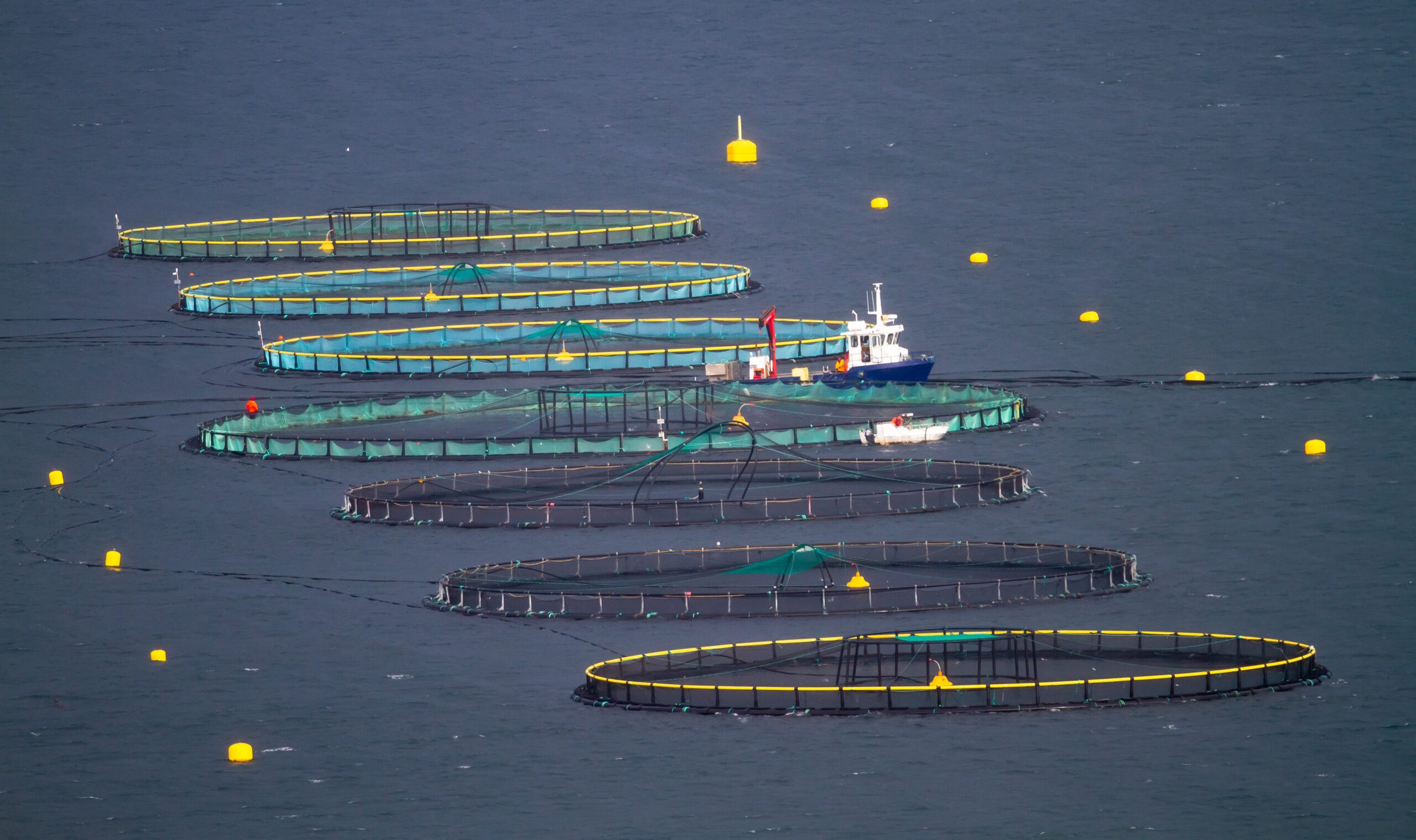 ltapsah-fish-farming-7557623